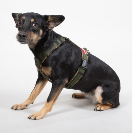 Postroj pro psa ALPHA DOG HARRNES Alpha Industries