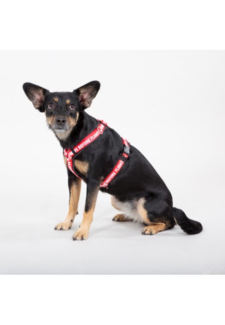 Alpha Industries DOG RBF HARMESS černý