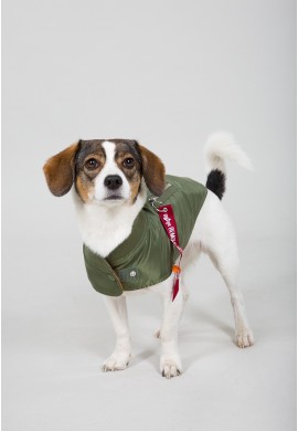 Dog MA-1 Nylon Flight Jacket SAGE GREEN