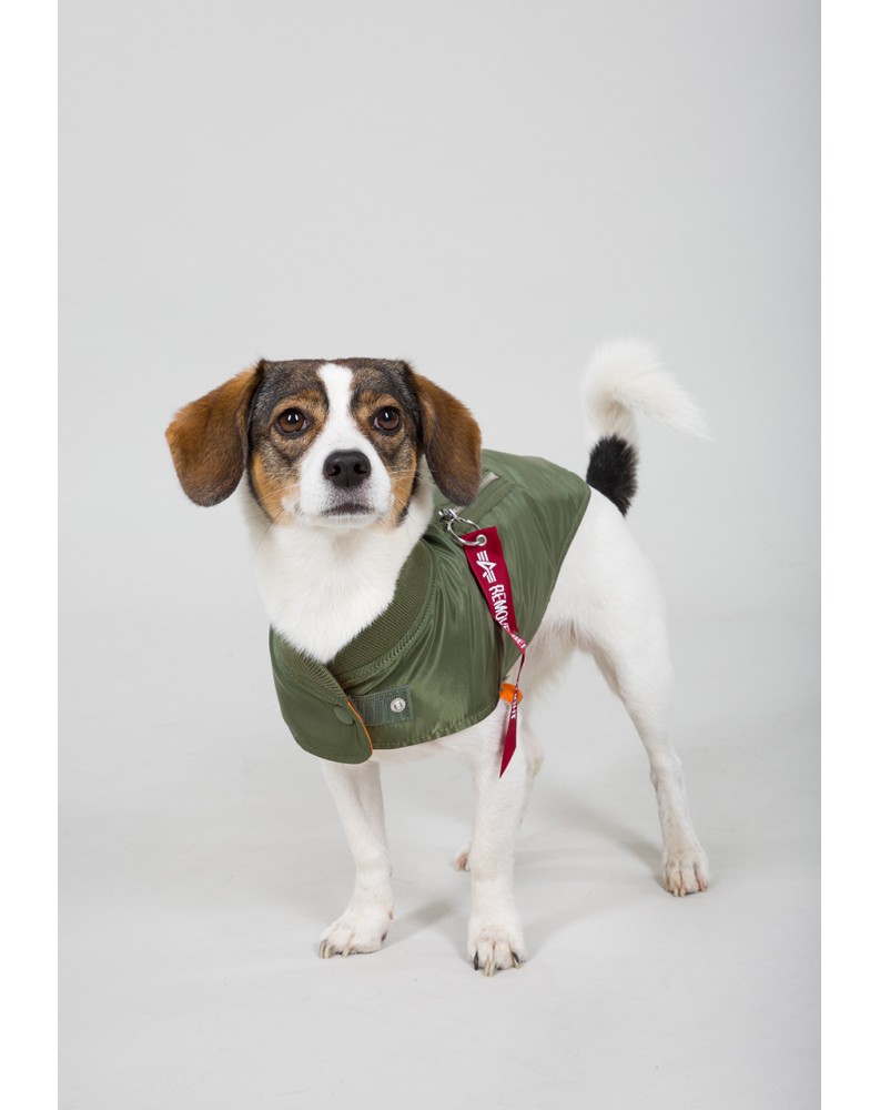 Dog MA-1 Nylon Flight Jacket SAGE GREEN Dog MA-1 Nylon Flight Jacket SAGE GREEN