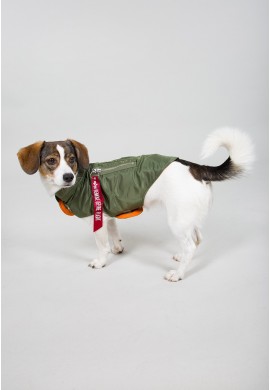 Dog MA-1 Nylon Flight Jacket SAGE GREEN