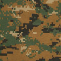 USMC MARPAT